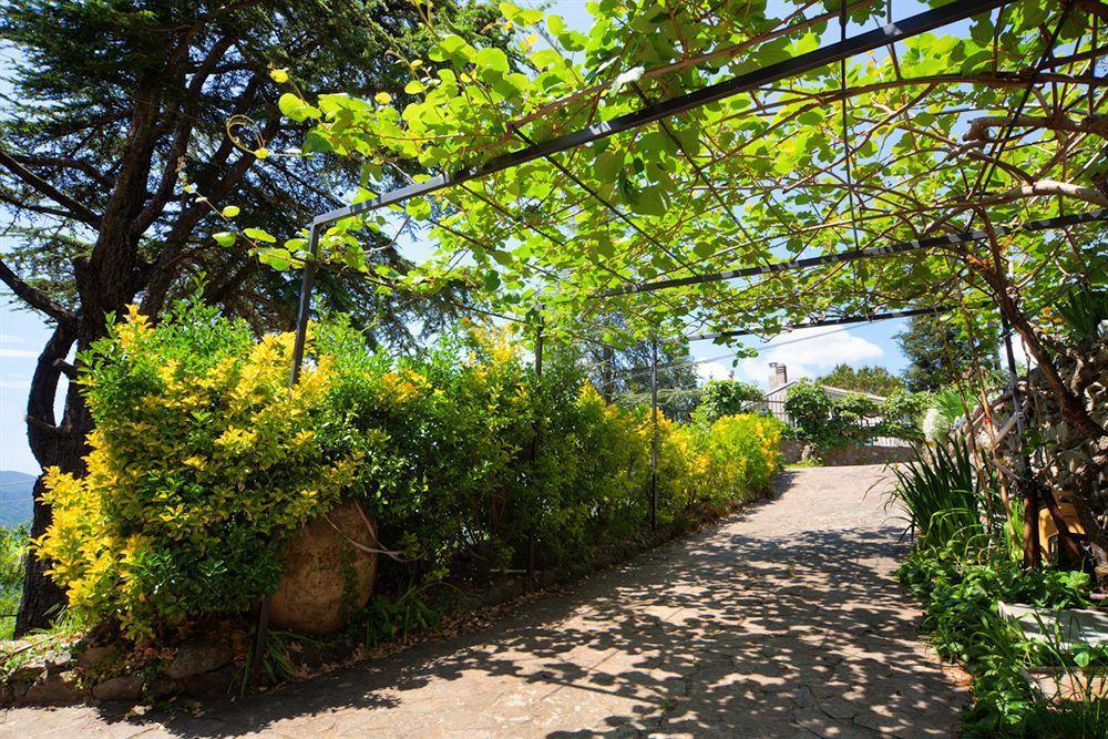 Oasi Verde Castiglione Chiavarese Exterior foto