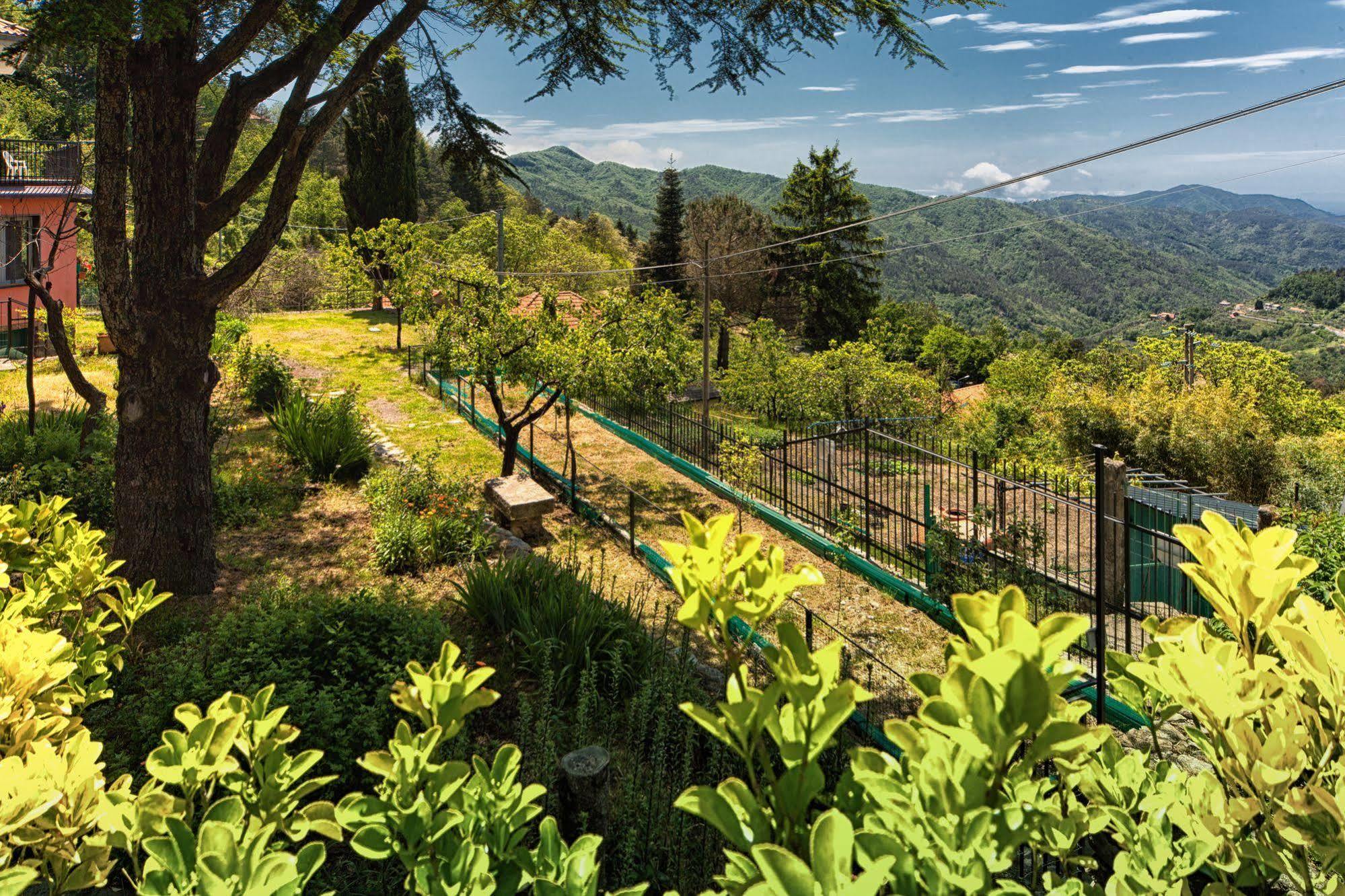 Oasi Verde Castiglione Chiavarese Exterior foto
