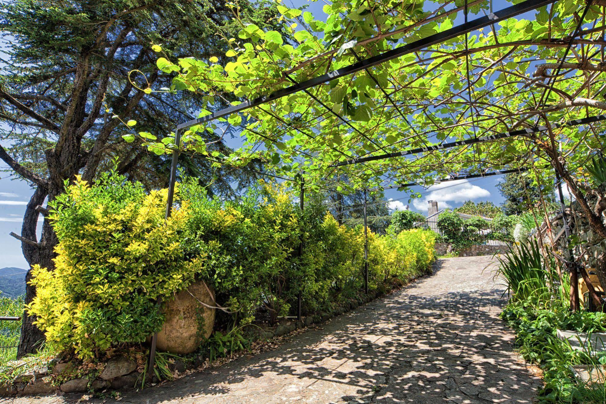 Oasi Verde Castiglione Chiavarese Exterior foto